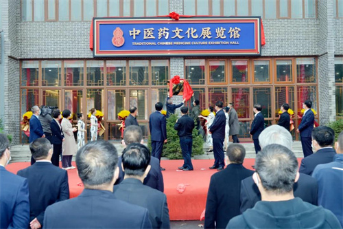 宣化区“九垣中医药文化特色街”举行开街仪式
