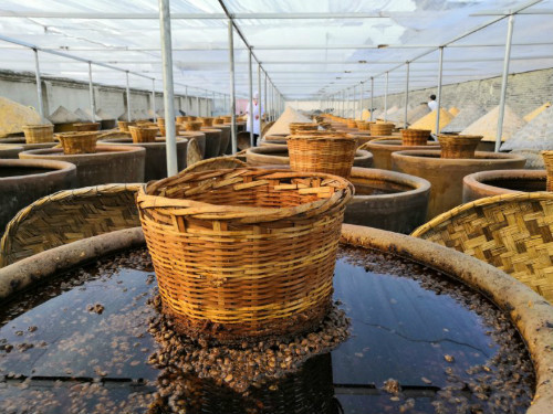 原浆酱油，五粮陈醋——徐州净安池食品有限公司