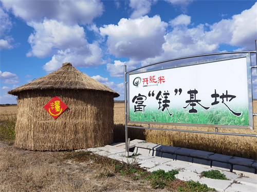 齐齐哈尔农垦开荒米水稻种植专业合作社：专注精品，铸就粮心