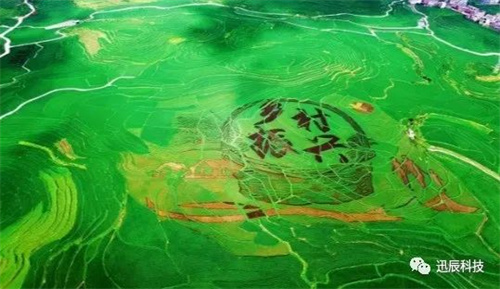 “小程序+公众号+直播带货”组合拳，迅辰科技打造数字乡村服务新场景