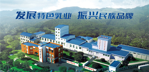 伊犁伊力特乳业有限责任公司：严守品质底线，创新乳业典范