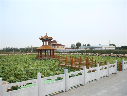 微信截图_20231017213021.png