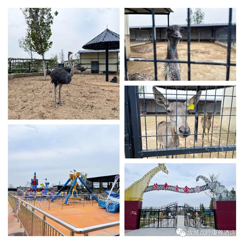 微信图片_20230314094646.jpg 微信图片_20230314094646.jpg