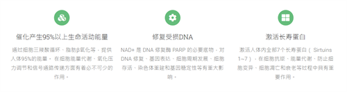 12b865b2880b5935.png