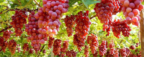 17164647463.jpg 17164647463.jpg