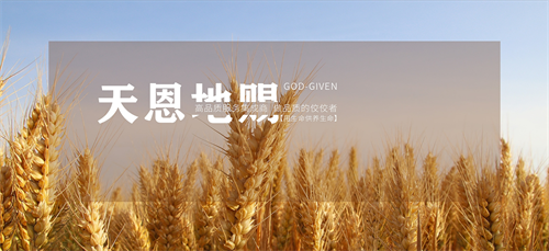 微信截图_20230922152258.png 微信截图_20230922152258.png