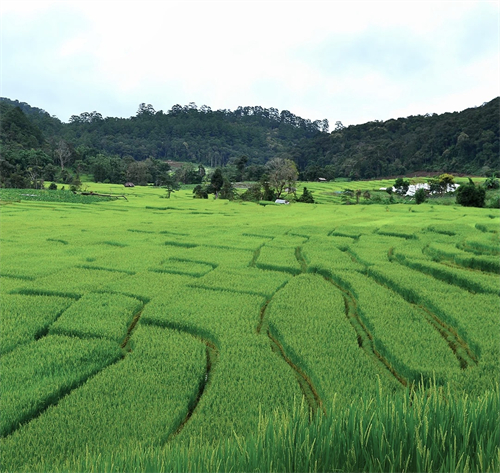 汤河2.jpg 汤河2.jpg