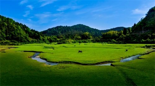 咸丰县农业产业投资有限公司4.jpg 咸丰县农业产业投资有限公司4.jpg