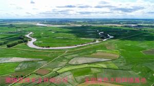 武坤米业：莫力达瓦稻香四溢，武坤米业领航振兴路