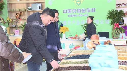 阿瓦提4.jpg
