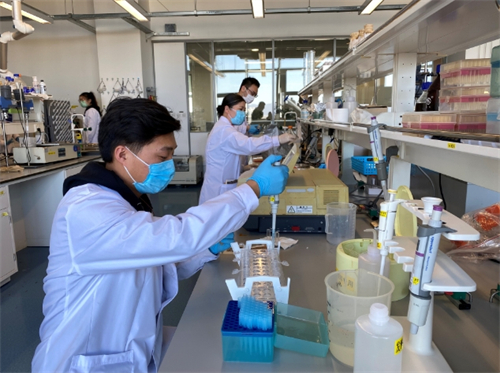 中粮营养健康研究院2.jpg 中粮营养健康研究院2.jpg