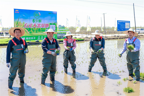 图片4.png 图片4.png