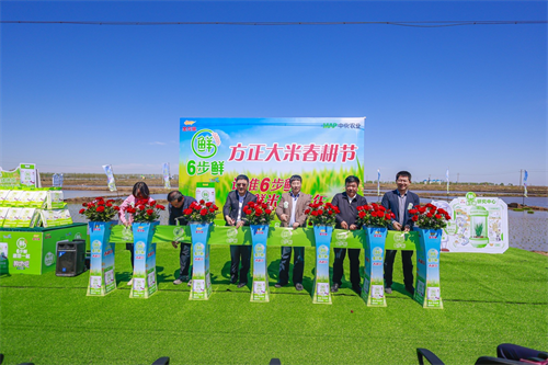 图片5.png 图片5.png