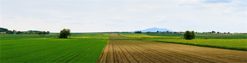 921d61b1abe768df.png 921d61b1abe768df.png