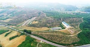 绥中富硒榛子的产业脉动