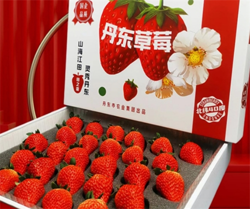 丹东农发集团2.jpg 丹东农发集团2.jpg