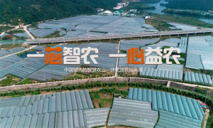 云洋物联技术有限公司：深耕智慧农业 助力乡村振兴