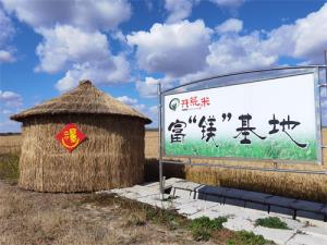 黑土地上书写绿色传奇：齐齐哈尔农垦开荒米合作社的有机坚守