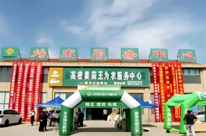 沃野织锦绣 供销铸新章——解码高密供销社的乡村振兴实践