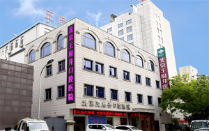 北京王府井医院：中西医结合，守护健康新篇章