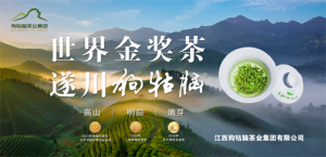 一片叶子的“新”生：狗牯脑茶业以传统与创新共绘茶产业新图景​