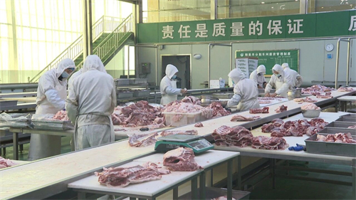 山西朔美羊肉业有限责任公司3.jpg 山西朔美羊肉业有限责任公司3.jpg