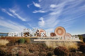 菜户营美学农场：六百年农耕古韵 一园间融汇古今